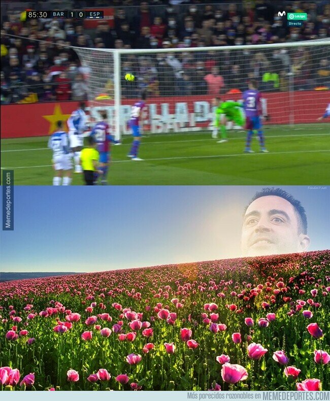 1149256 - Quien iba a pensar que sería la primera plantilla en utilizar