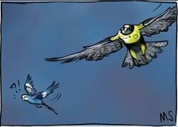 Enlace a Pobres periquitos