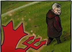 Enlace a El United destituye a Solskjaer