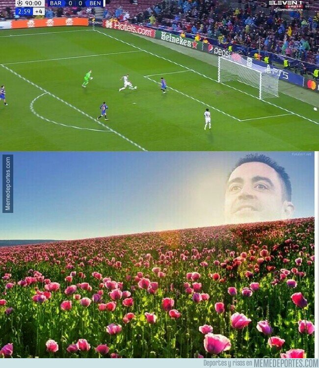 1149416 - A Xavi se le da bien la jardinería