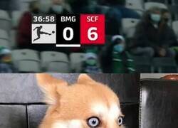 Enlace a El Friburgo le ha anotado 6 goles en 37 minutos al Gladbach. Histórico