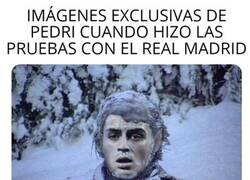 Enlace a Ola de frío