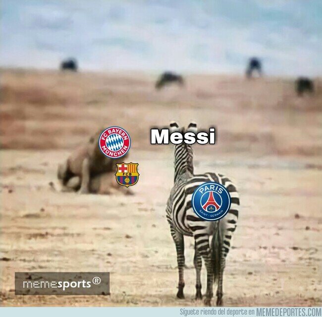 1150705 - Este dejó al equipo a la deriva