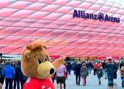 Enlace a El osito bávaro ya advirtió