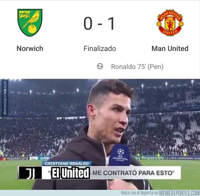 1150905 - La especialidad del bicho