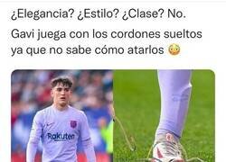 Enlace a Los cordones de Gavi