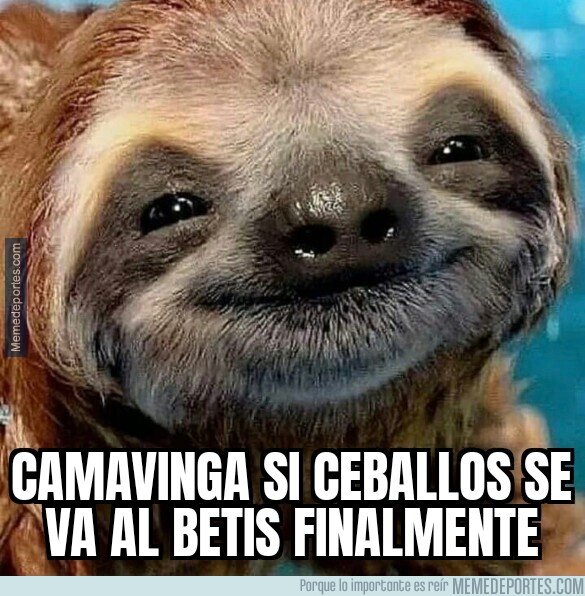 1151901 - Camavinga el mozito feliz.