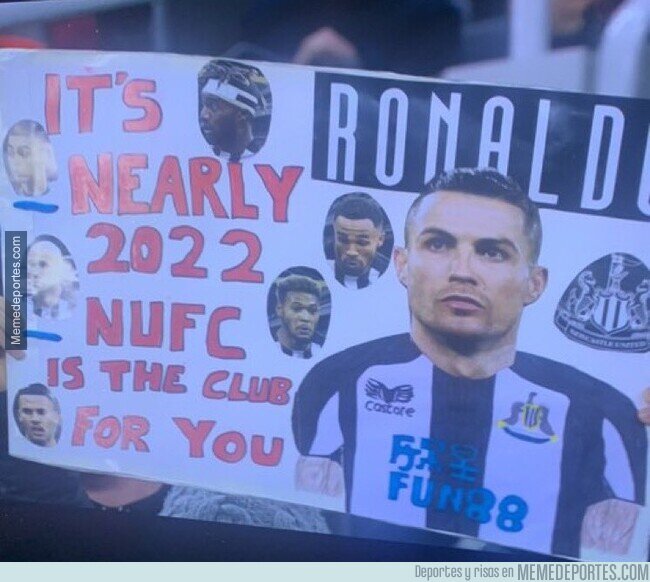 1151918 - Gentil recordatorio de nunca perder la esperanza