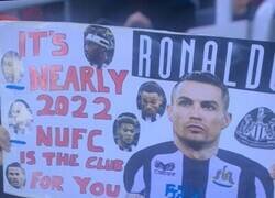 Enlace a Gentil recordatorio de nunca perder la esperanza