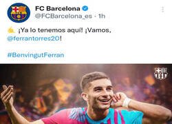 Enlace a No sé si creérmelo...