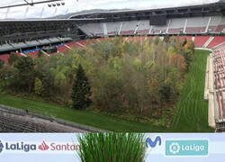 Enlace a El campo infernal para Xavi