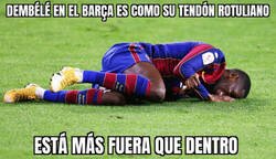 Enlace a Se le suele salir con frecuencia