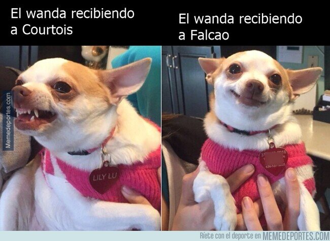 1152270 - Si se dejó querer