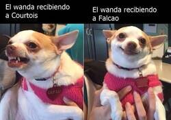 Enlace a Si se dejó querer