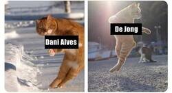 Enlace a El gol del Barça con gatos