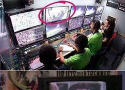 Enlace a Mamá soy famoso