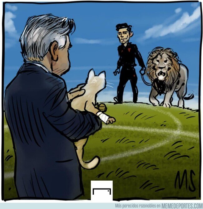 1153119 - Los leones contra el gato