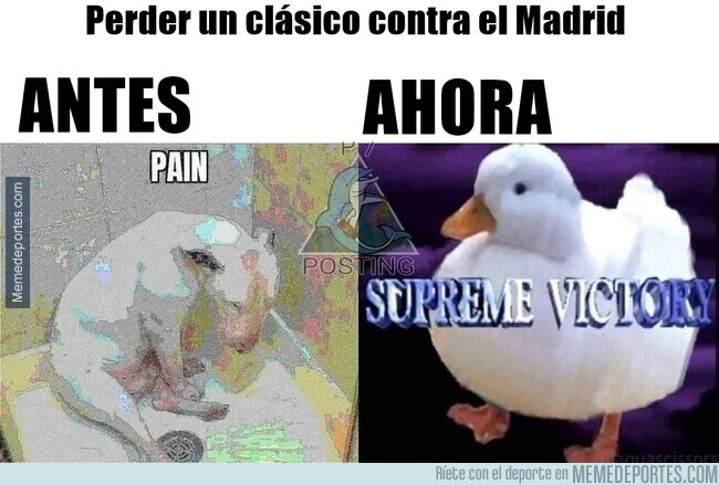 1153153 - Asusta como cambian los tiempos