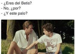 Enlace a Menudo palo