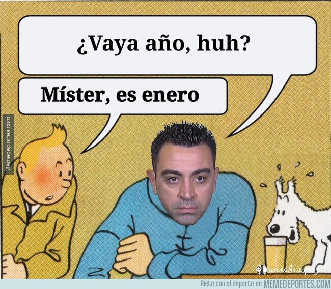 1153662 - Se acerca la alopecia...