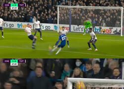 Enlace a Adiós telarañas