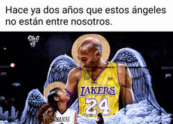 Enlace a Dos años han pasado ya