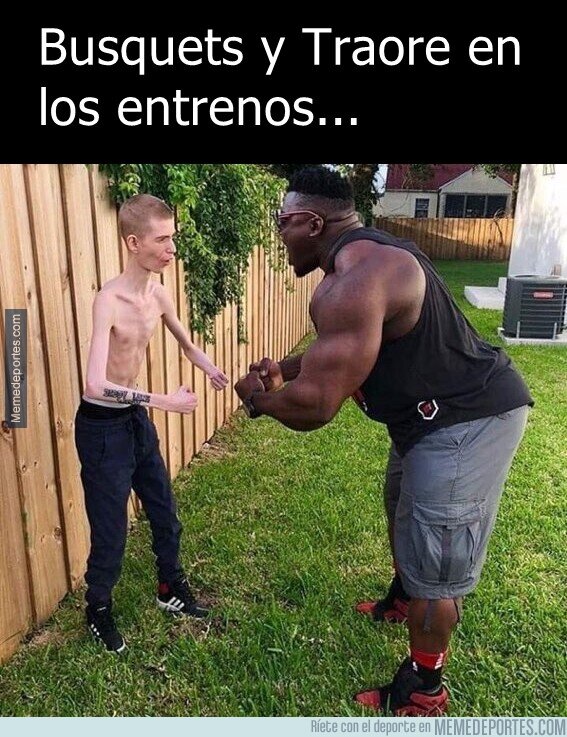 1153947 - Como molaría que fueran inseparables.