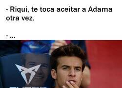 Enlace a Alguien tiene que hacerlo
