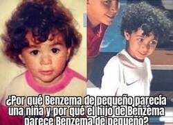 Enlace a De tal palo, tal astilla