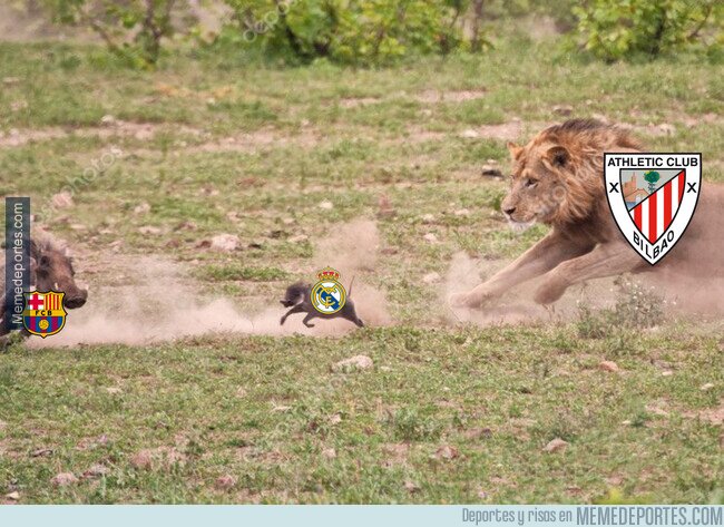 1154407 - El león sale de caza