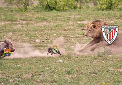 Enlace a El león sale de caza