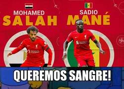 Enlace a ¡DURO, DURO, DURO!