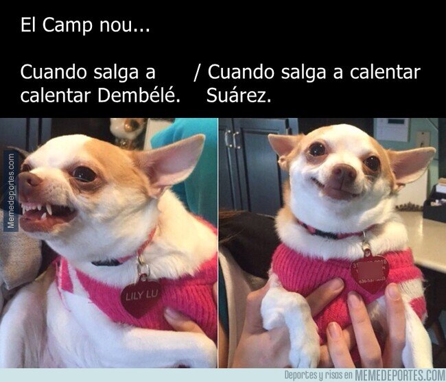 1154526 - Estadio con memoria