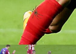 Enlace a Alves solo quería salvar a Carrasco