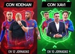 Enlace a Los datos de la Xavineta que no quieren que veas en la capital