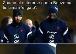 Enlace a Sal de ahí, Karim.