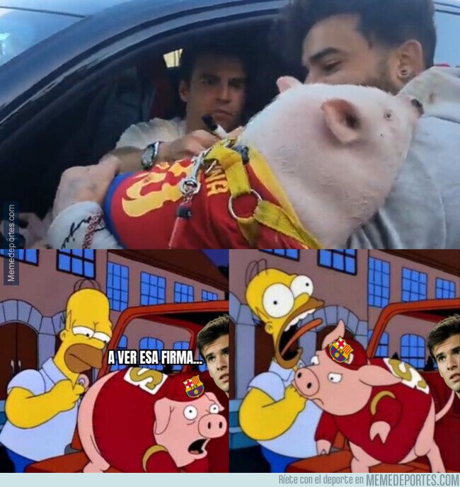 1154790 - Imágenes exclusivas del momento en el que Riqui Puig firmó un cerdo