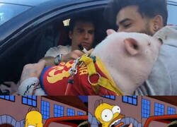 Enlace a Imágenes exclusivas del momento en el que Riqui Puig firmó un cerdo