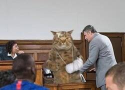 Enlace a ¿QUE QUÉ?