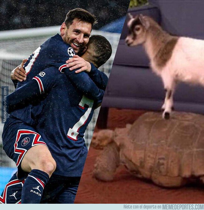 1154839 - Como todos lo ven / Como yo los veo