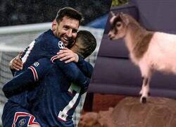 Enlace a Como todos lo ven / Como yo los veo