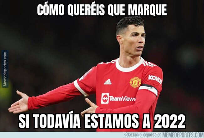 1154925 - Un año maldito para el bicho