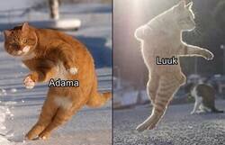 Enlace a El punto sobre la hora en Cornellá