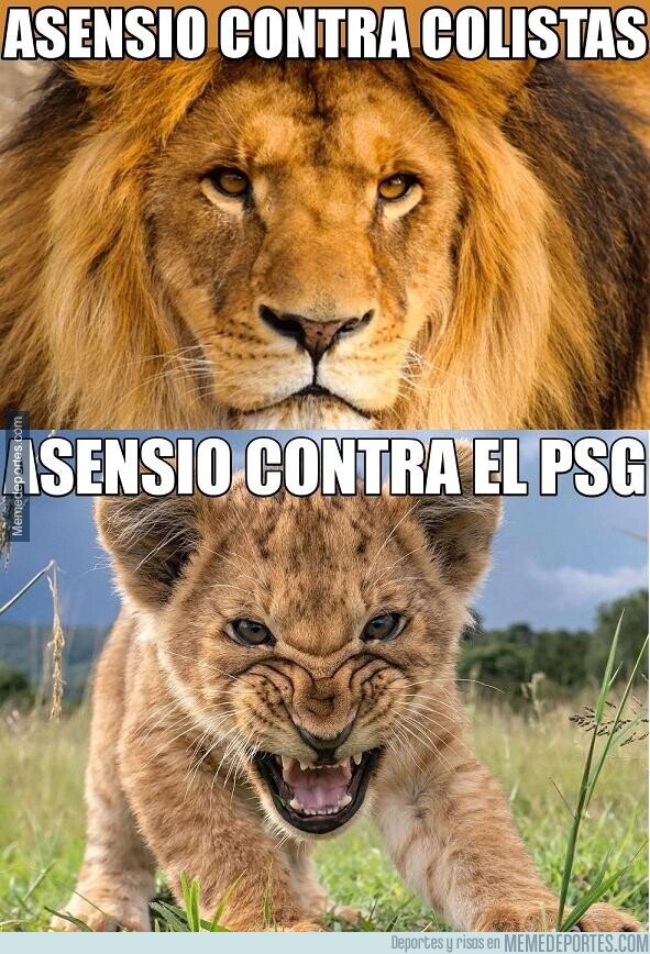 1155451 - Asensio o Ausencio esa es la cuestión..
