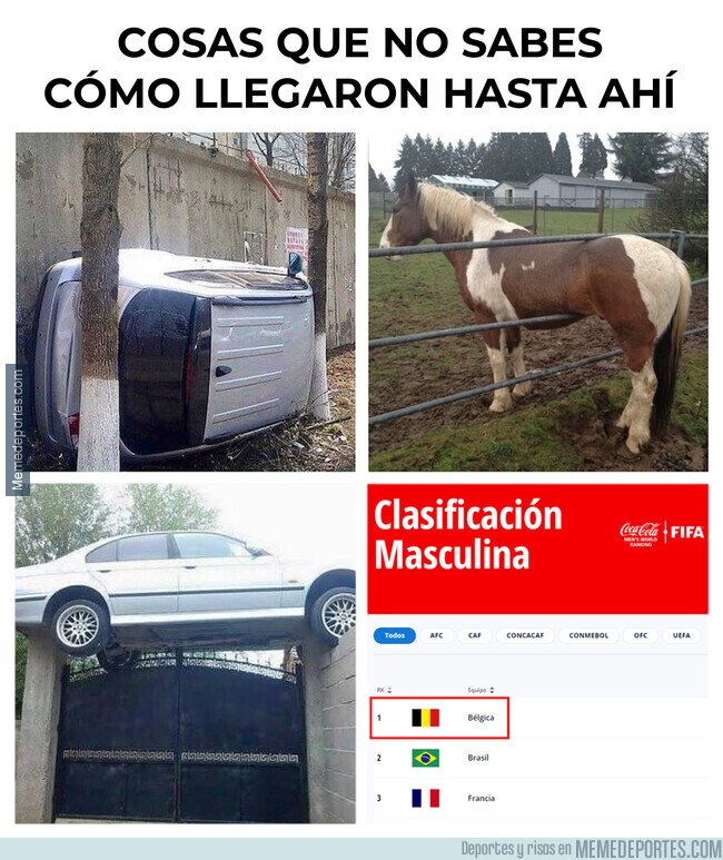 1155503 - Ya dura cuatro años la broma