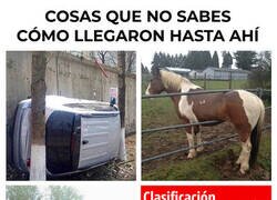 Enlace a Ya dura cuatro años la broma