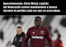Enlace a Chris Wood lo entendió como ninguno
