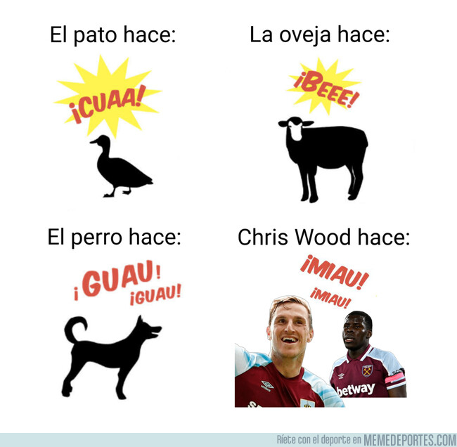 1155531 - Mi animal favorito es Chris Wood