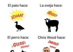 Enlace a Mi animal favorito es Chris Wood