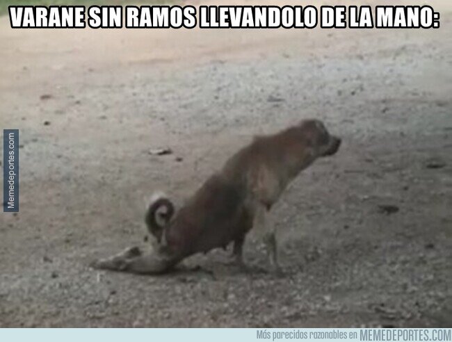 1155691 - ¿Qué le pasó a Varane?